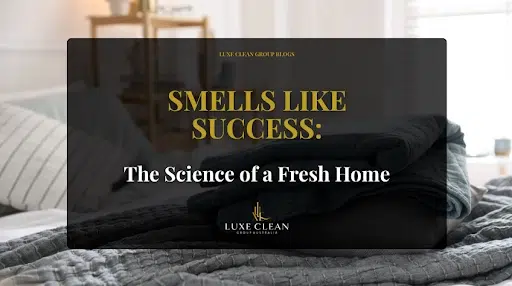 Cleaning supplies: spray bottle, squeegee, and colorful microfiber cloths on a white surface.